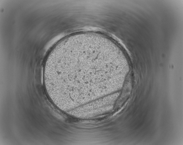 X0000086031171200704201939