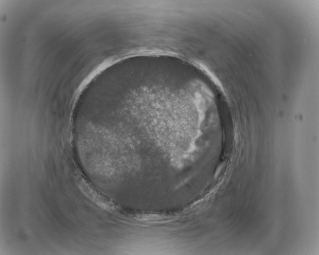 X0000086031173200704201939