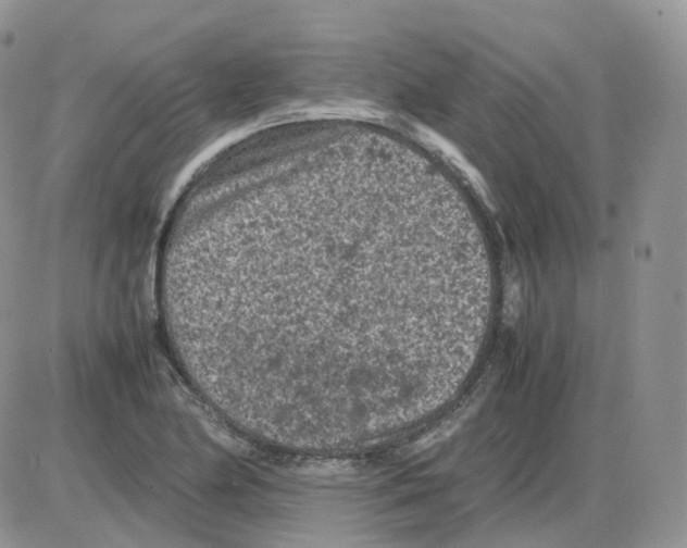 X0000086031174200704201939