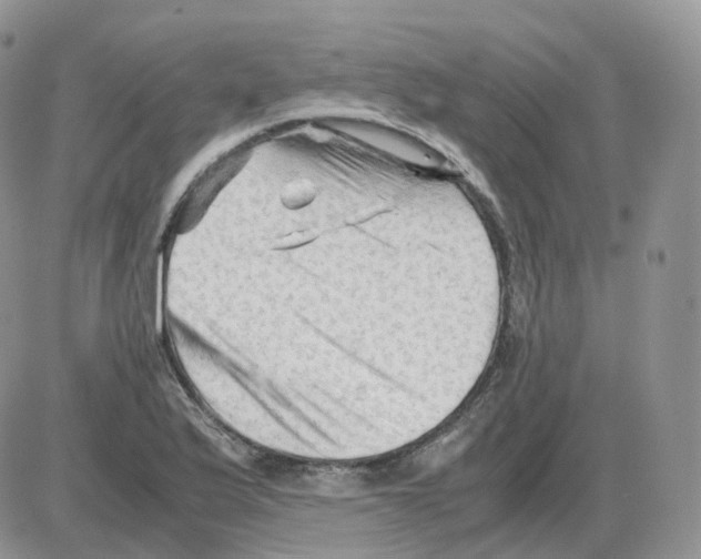 X0000086031175200704201939