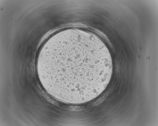 X0000086031176200704201939