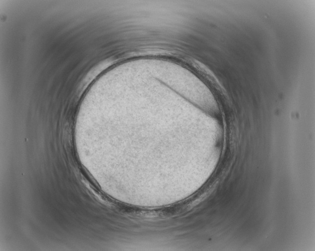 X0000086031177200704201939