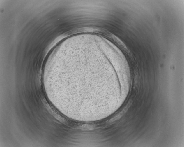 X0000086031178200704201939