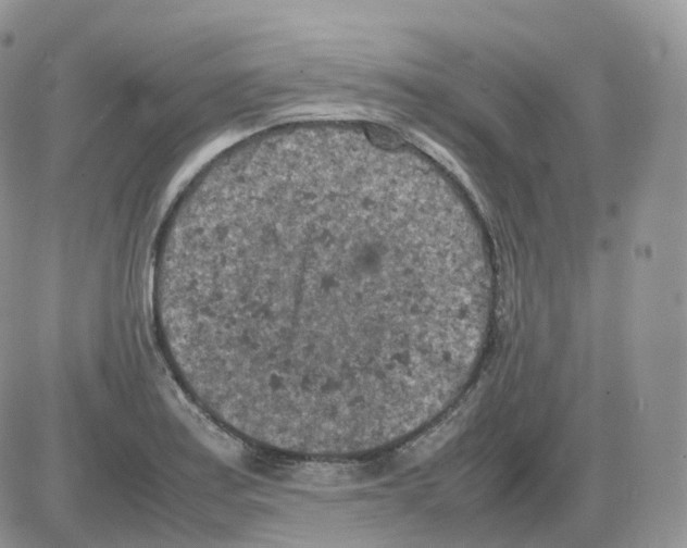 X0000086031179200704201939