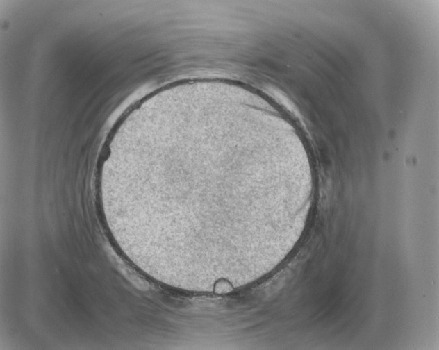 X0000086031181200704201939