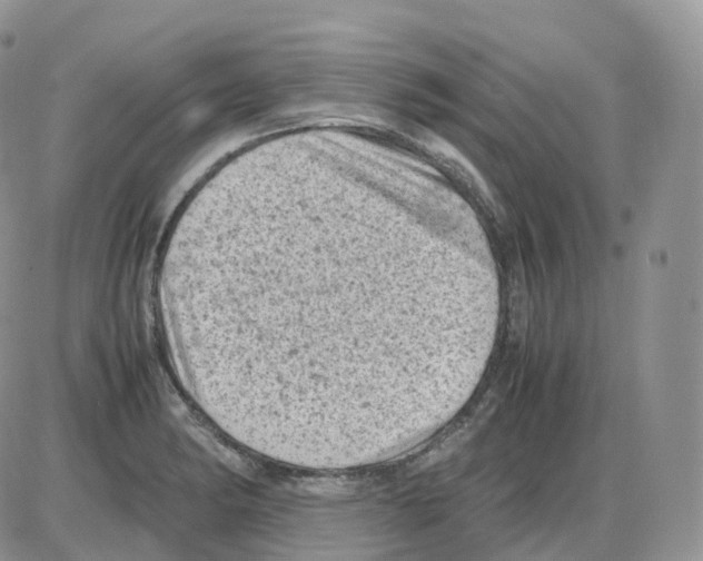 X0000086031182200704201938