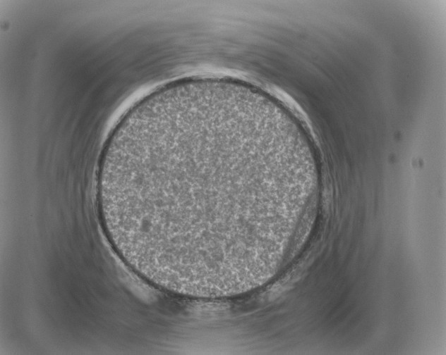 X0000086031183200704201938