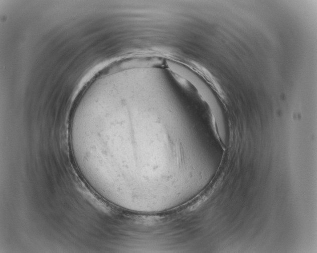 X0000086031184200704201938