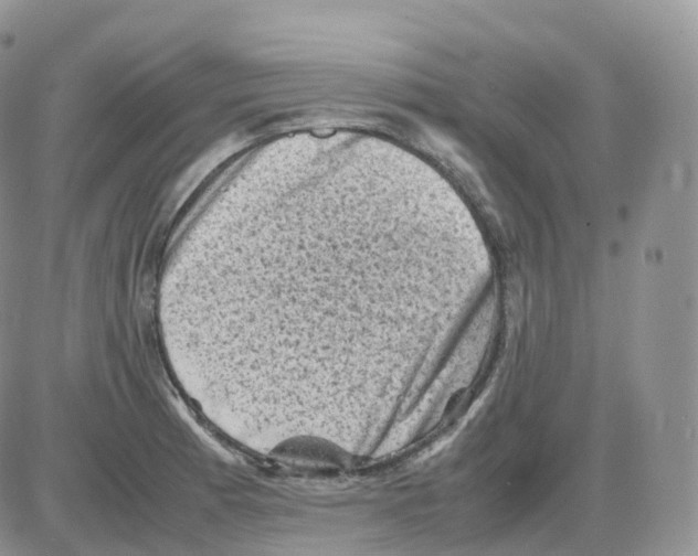 X0000086031185200704201938