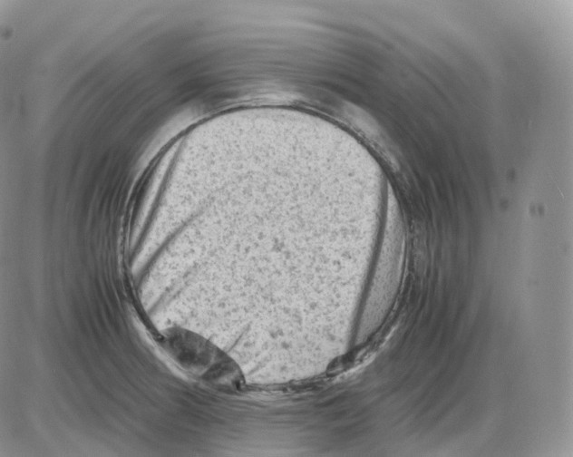 X0000086031186200704201938