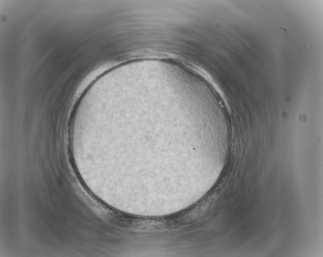 X0000086031187200704201938