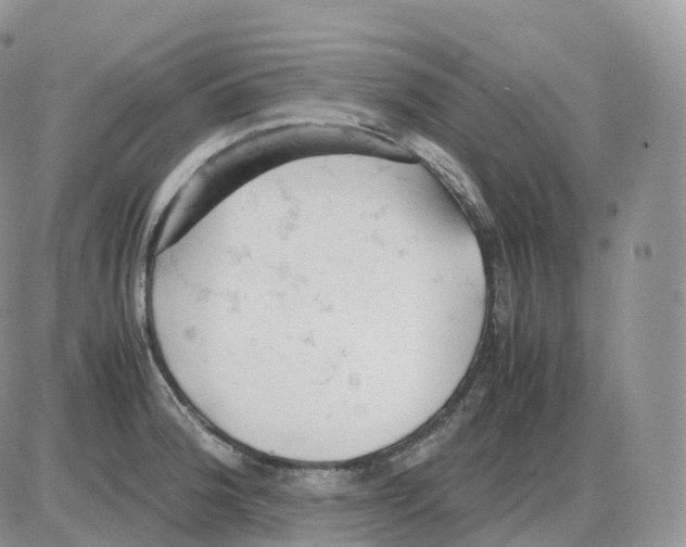 X0000086031188200704201938