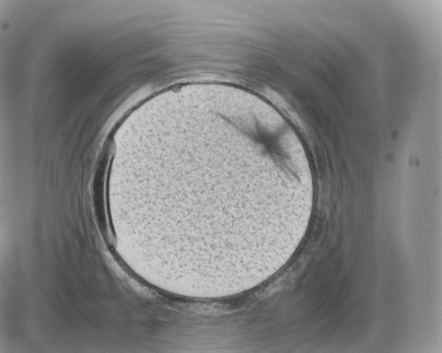 X0000086031189200704201938