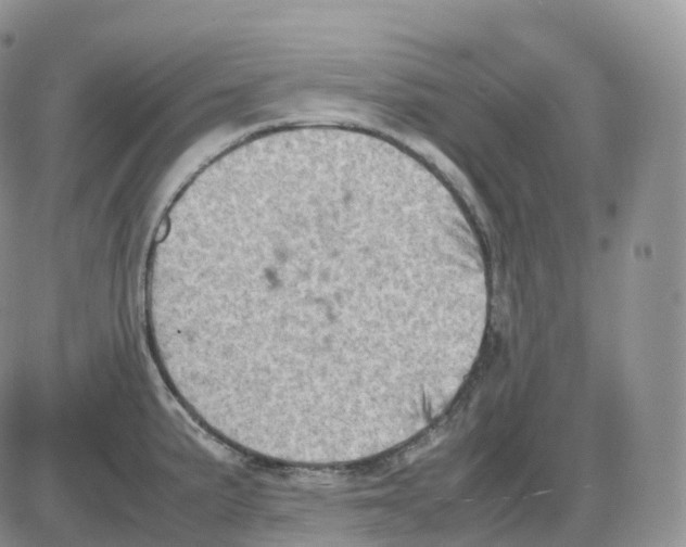 X0000086031191200704201938