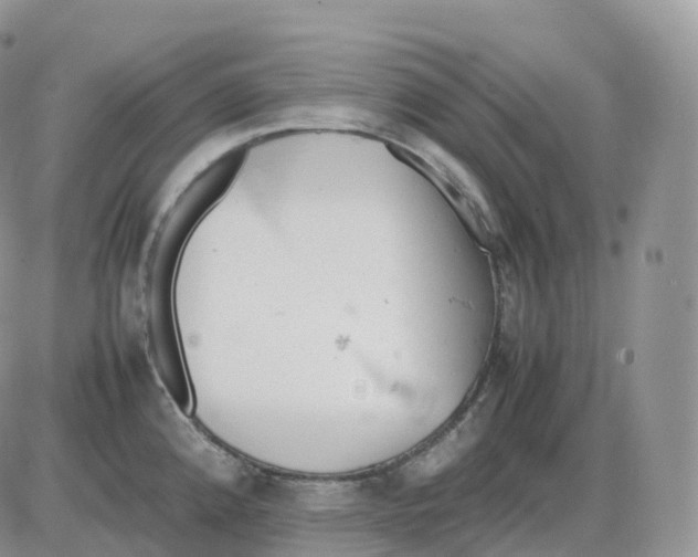 X0000086031192200704201938