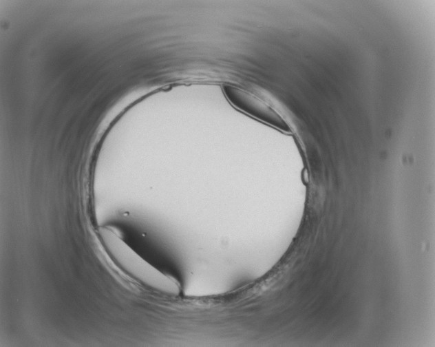 X0000086031195200704201938