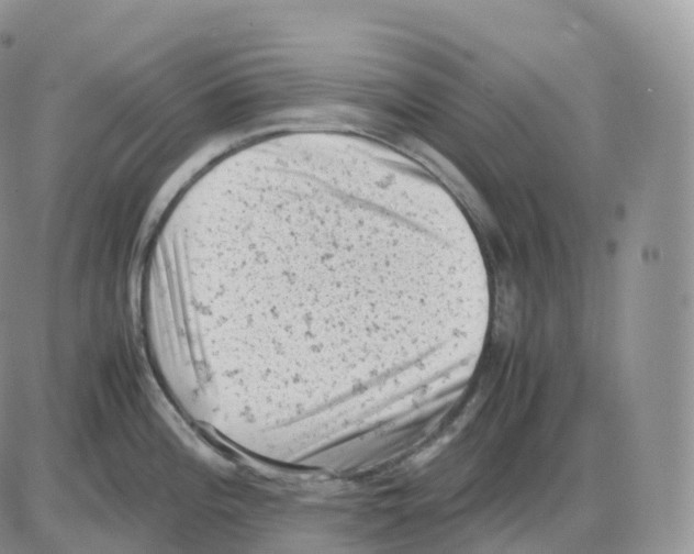 X0000086031196200704201938