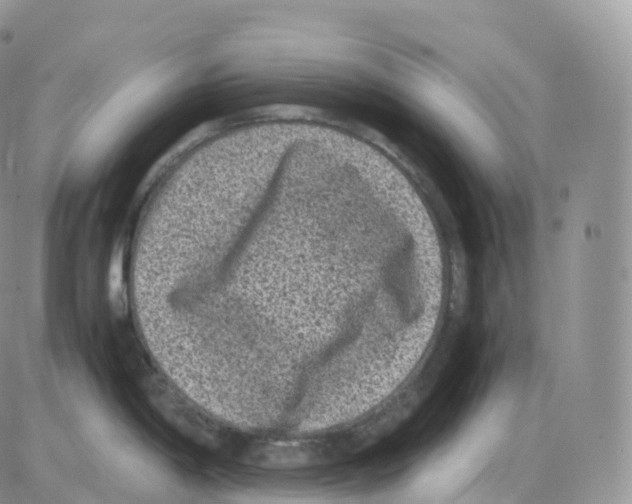 X0000086031198200704201938