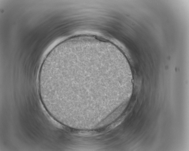 X0000086031199200704201938