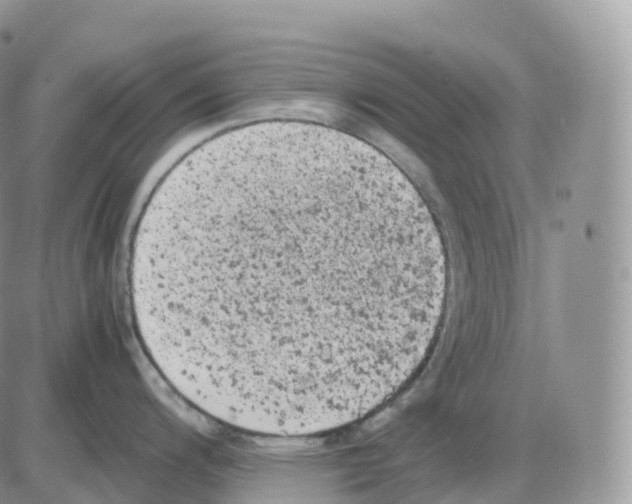 X0000086031200200704201938