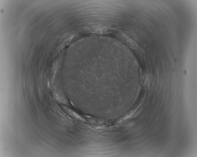 X0000086031202200704201937