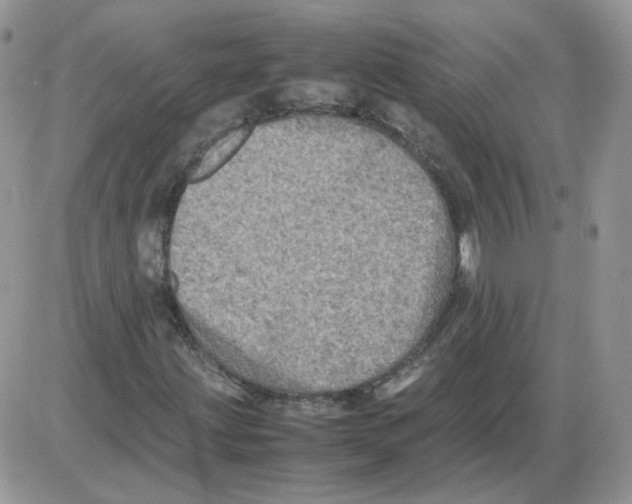 X0000086031203200704201937