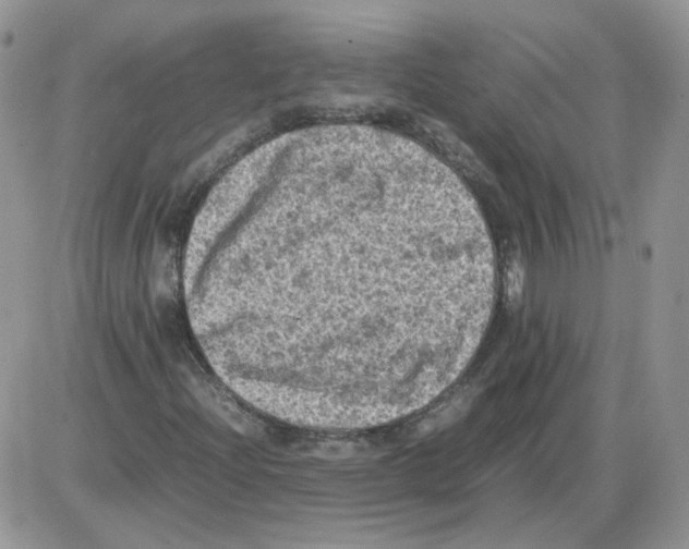 X0000086031204200704201937