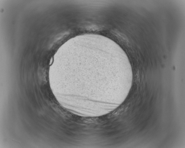 X0000086031205200704201937