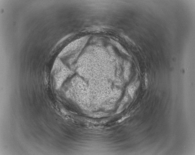 X0000086031206200704201938