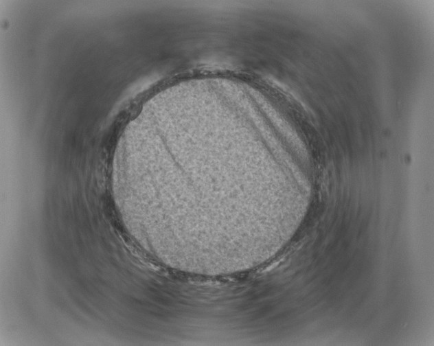 X0000086031207200704201938