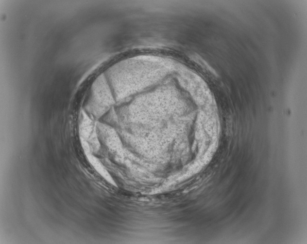 X0000086031208200704201938