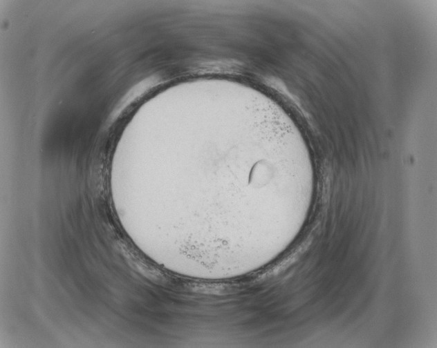 X0000086031211200704201938