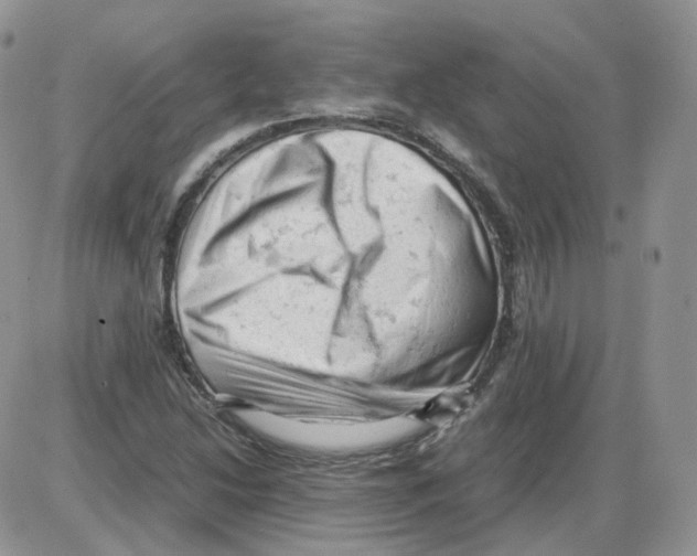 X0000086031214200704201938