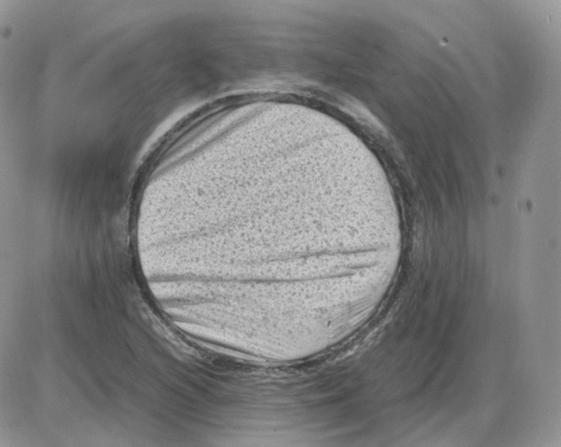 X0000086031216200704201938