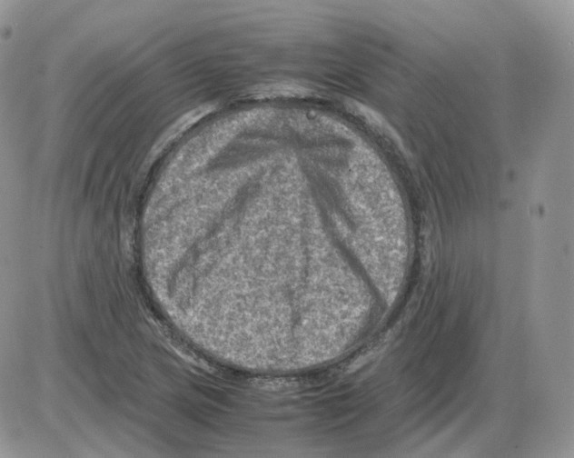 X0000086031217200704201938