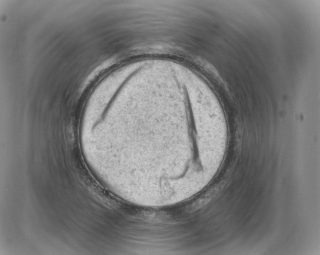 X0000086031218200704201938