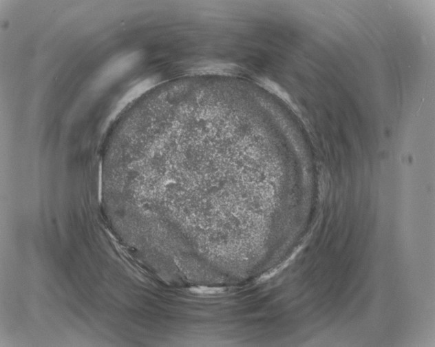 X0000086031219200704201938