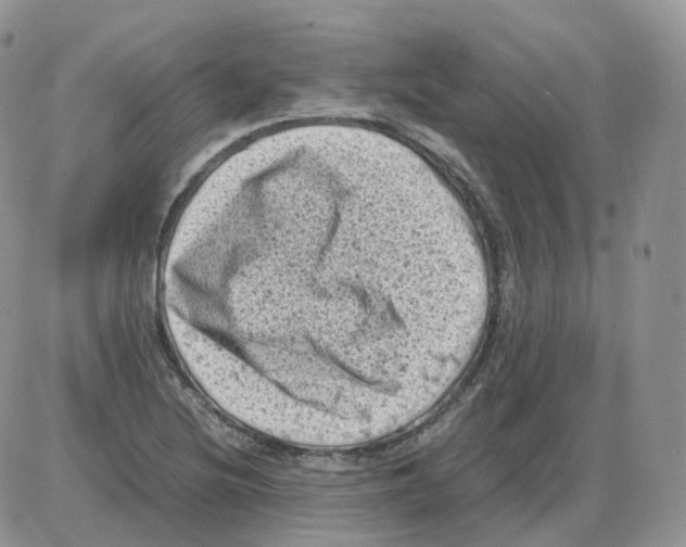 X0000086031220200704201938