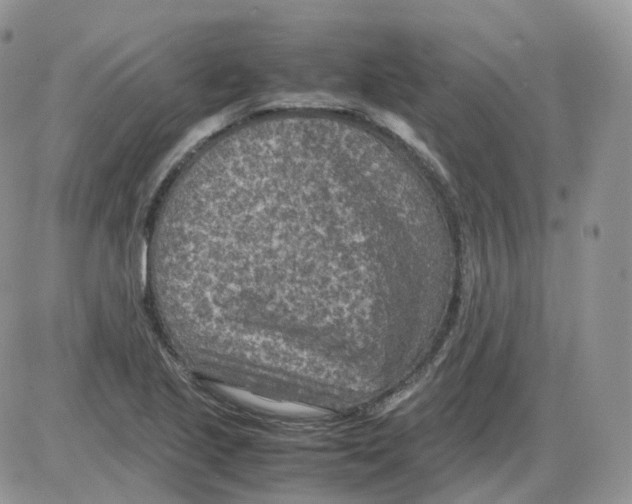 X0000086031221200704201938