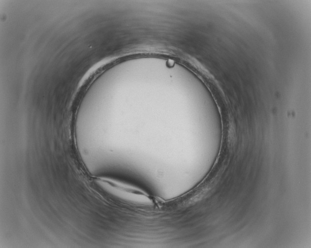 X0000086031222200704201938