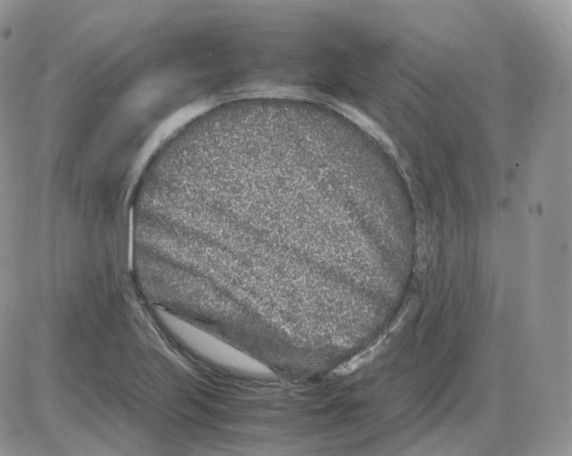 X0000086031223200704201938