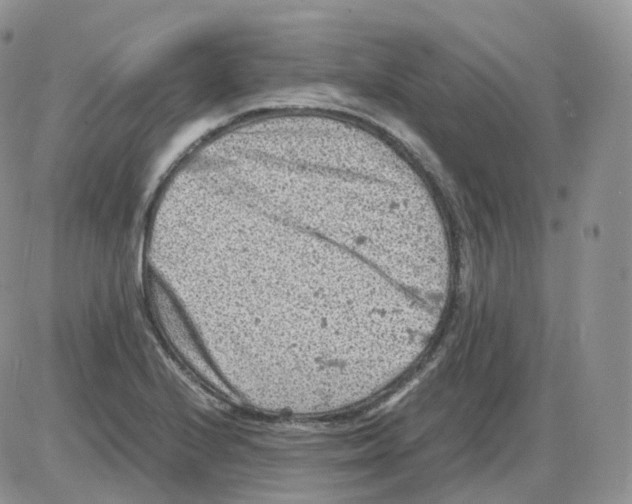 X0000086031224200704201938