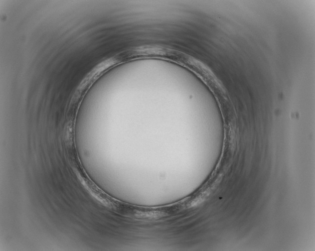 X0000086031225200704201938