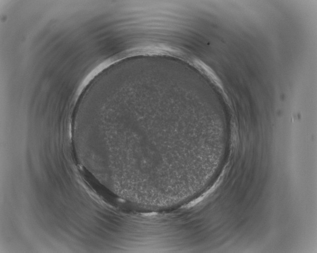 X0000086031226200704201938