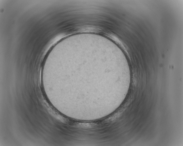 X0000086031227200704201938