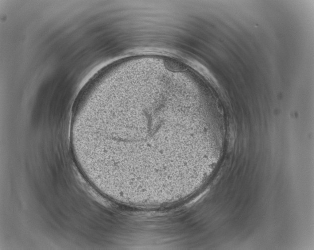 X0000086031228200704201938