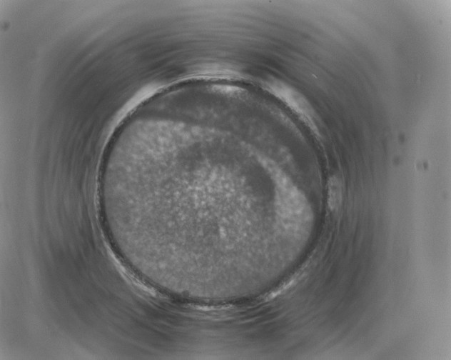 X0000086031229200704201938