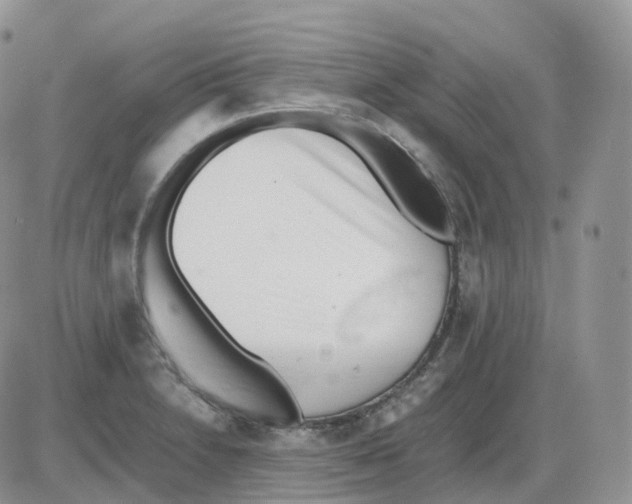 X0000086031230200704201938