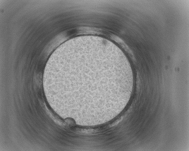 X0000086031233200704201938