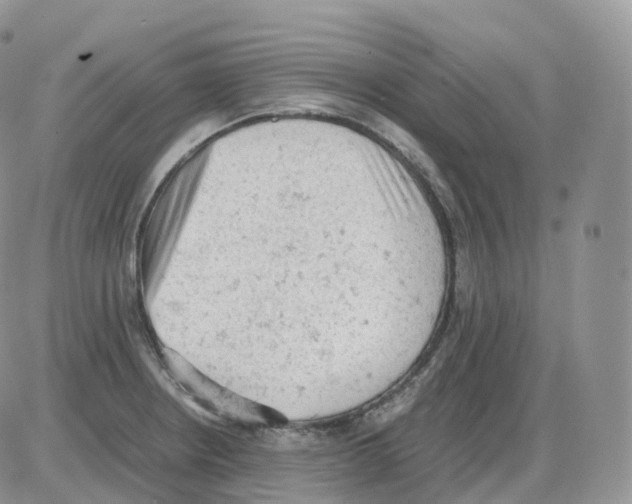 X0000086031234200704201938